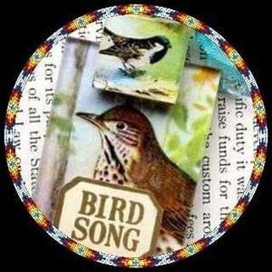 Meet your Posher, Lynne